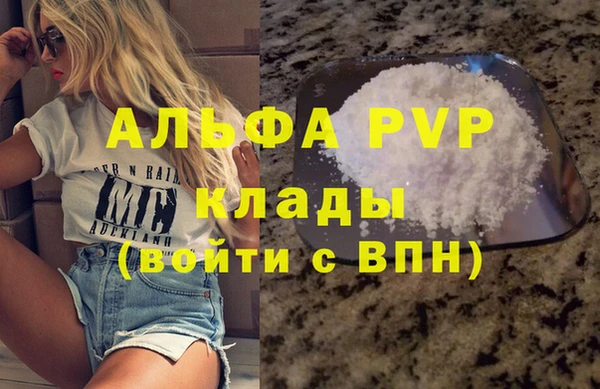 хмурый Аркадак
