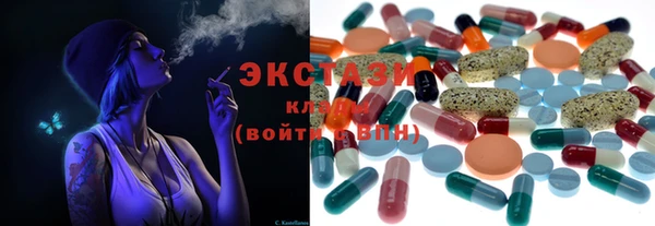 хмурый Аркадак