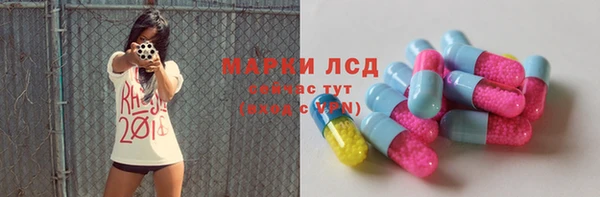 хмурый Аркадак