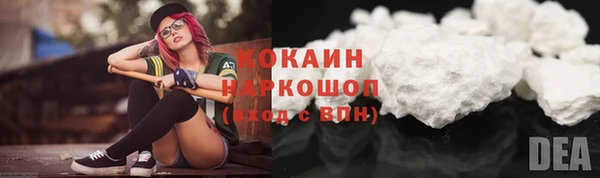 хмурый Аркадак