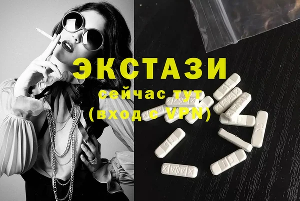 хмурый Аркадак