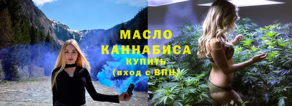 хмурый Аркадак