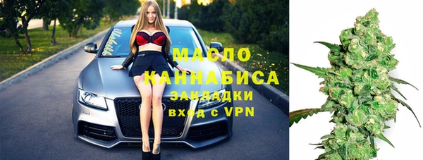хмурый Аркадак