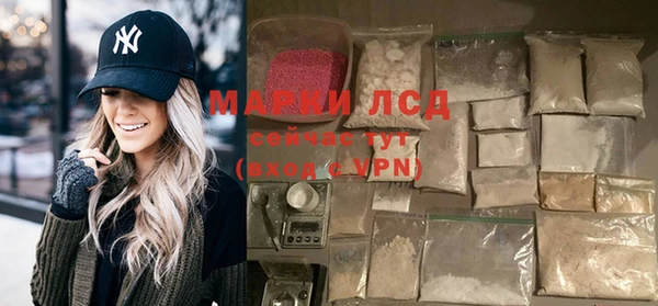 хмурый Аркадак