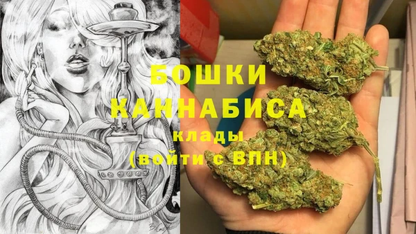 хмурый Аркадак