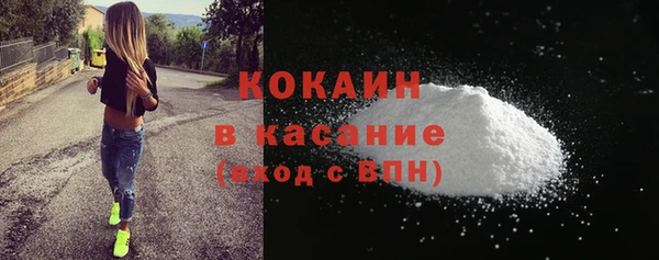 хмурый Аркадак