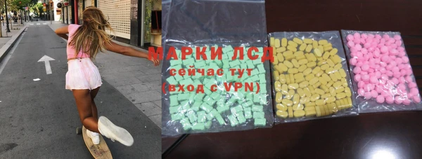 хмурый Аркадак